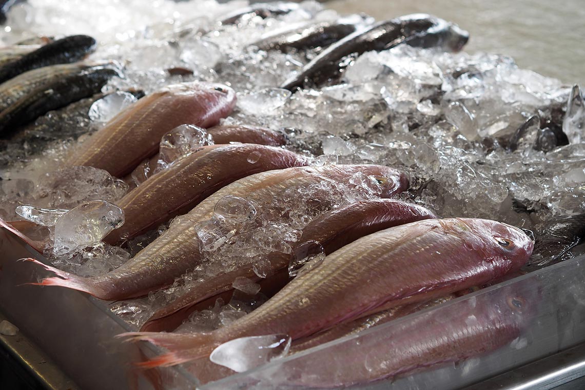 Encuentra en nosotros el mejor pescado fresco para restaurantes en Huelva - Toscamare, congelados frescos del mar